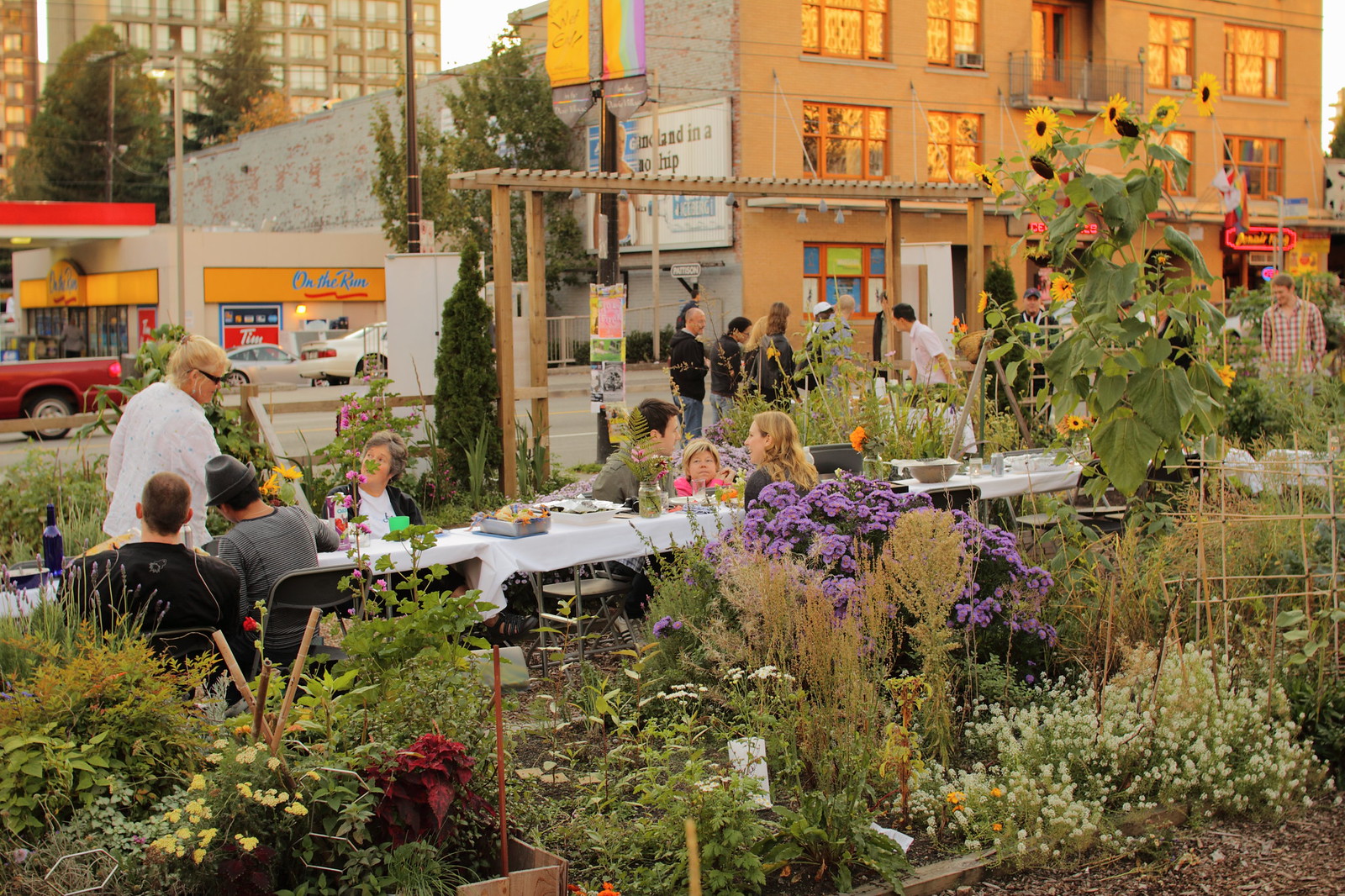 community garden