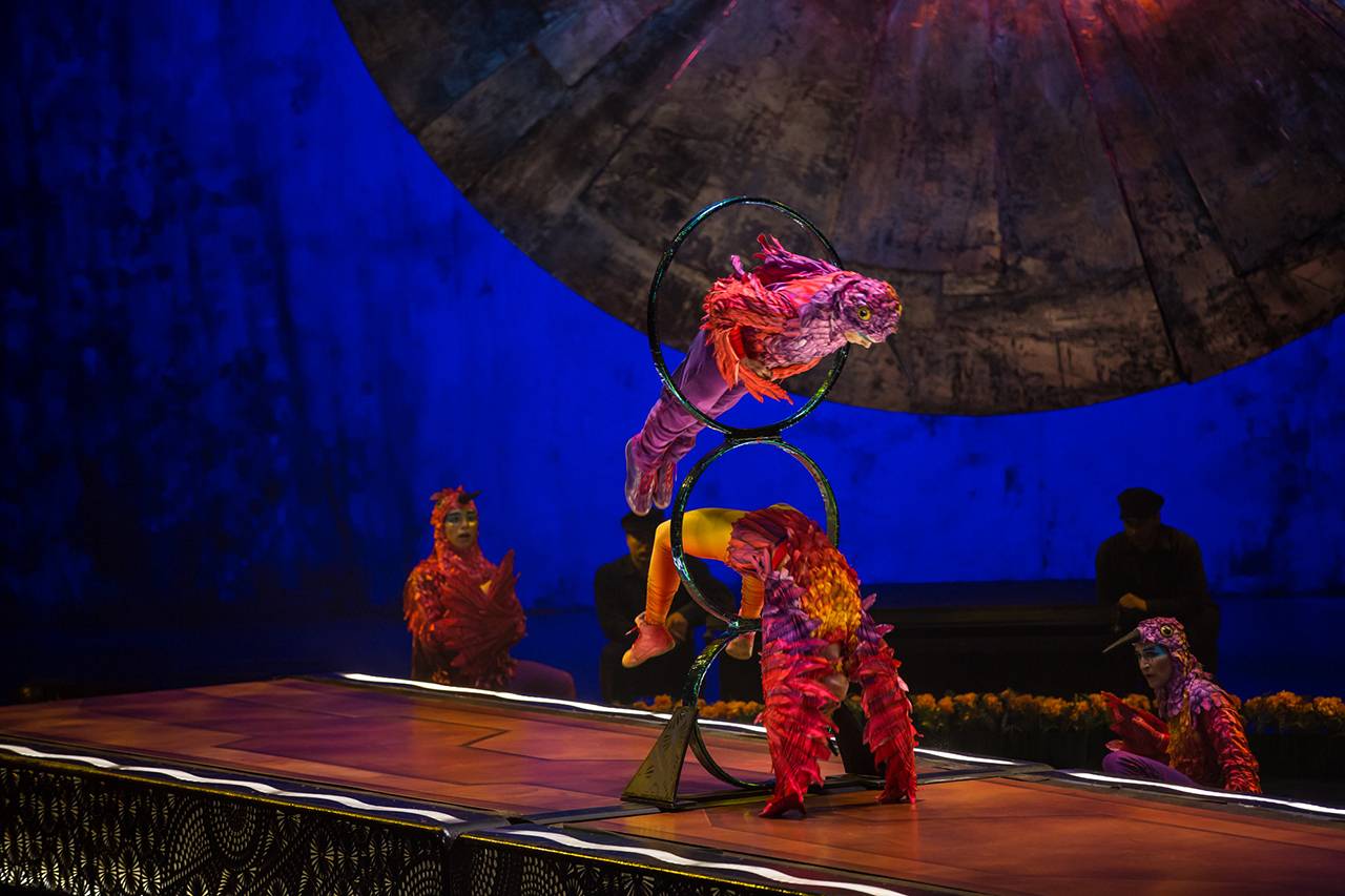 cirque du soleil luzia