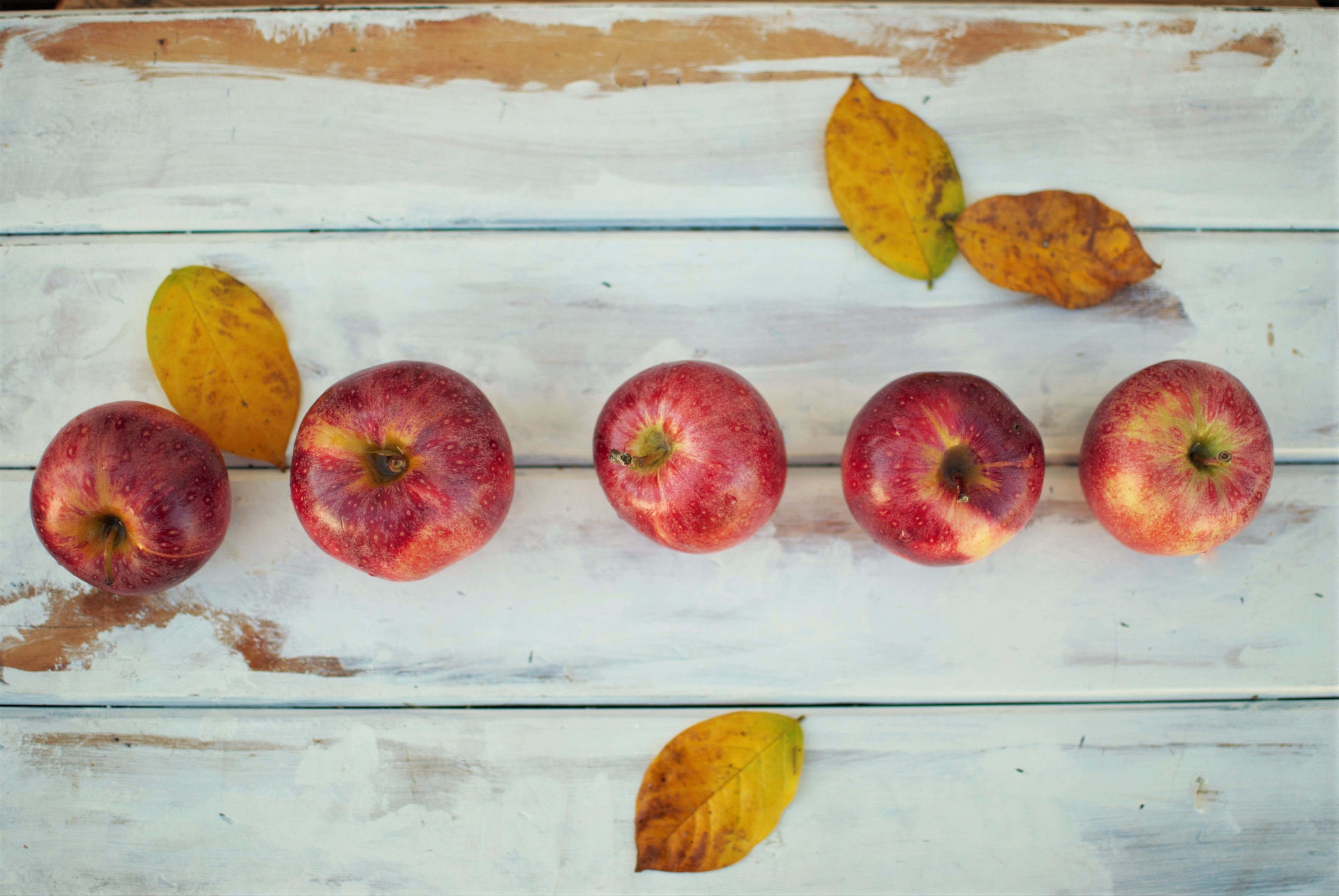 fall apples