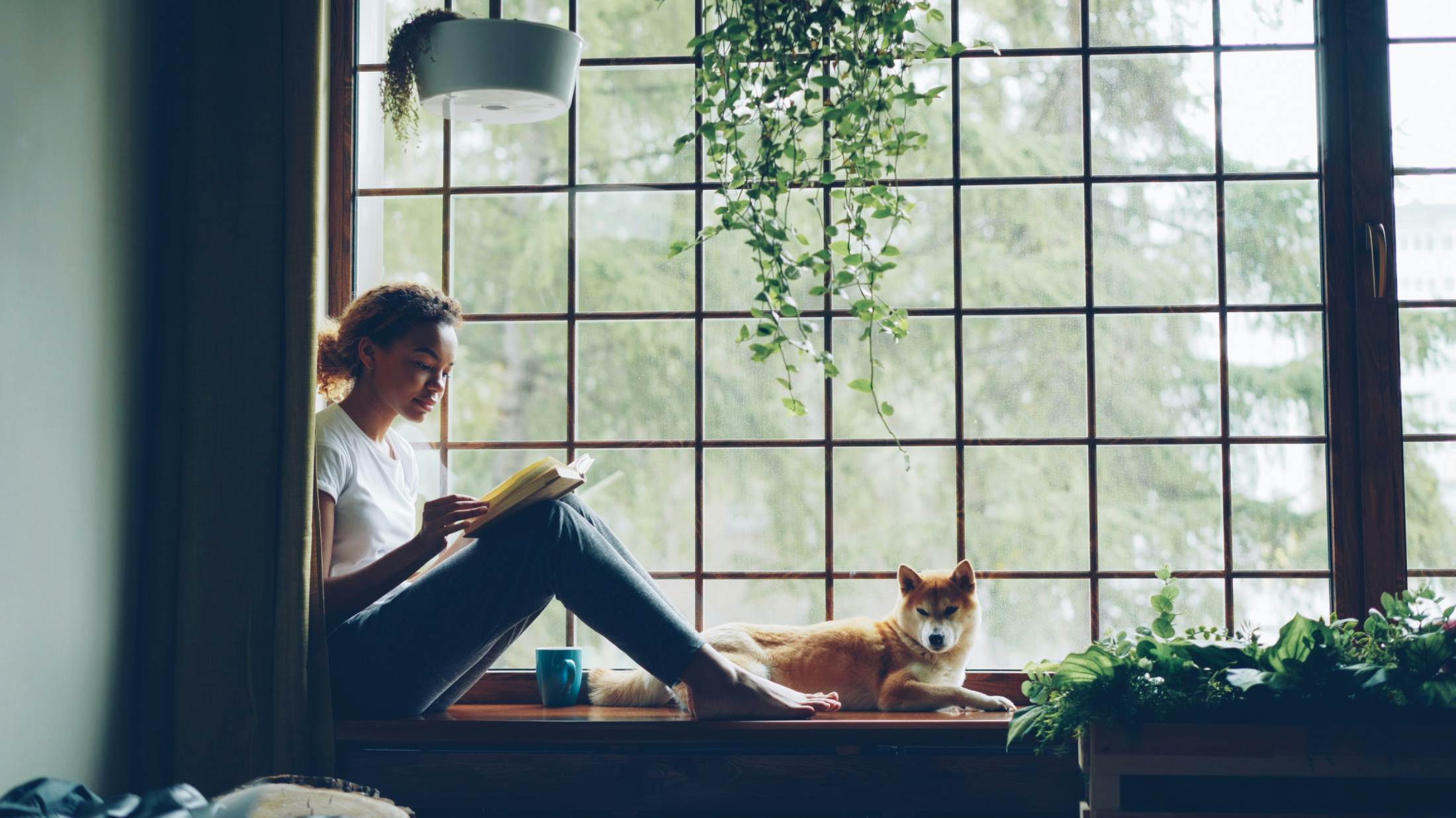 15 ways to make your home more energy-efficient