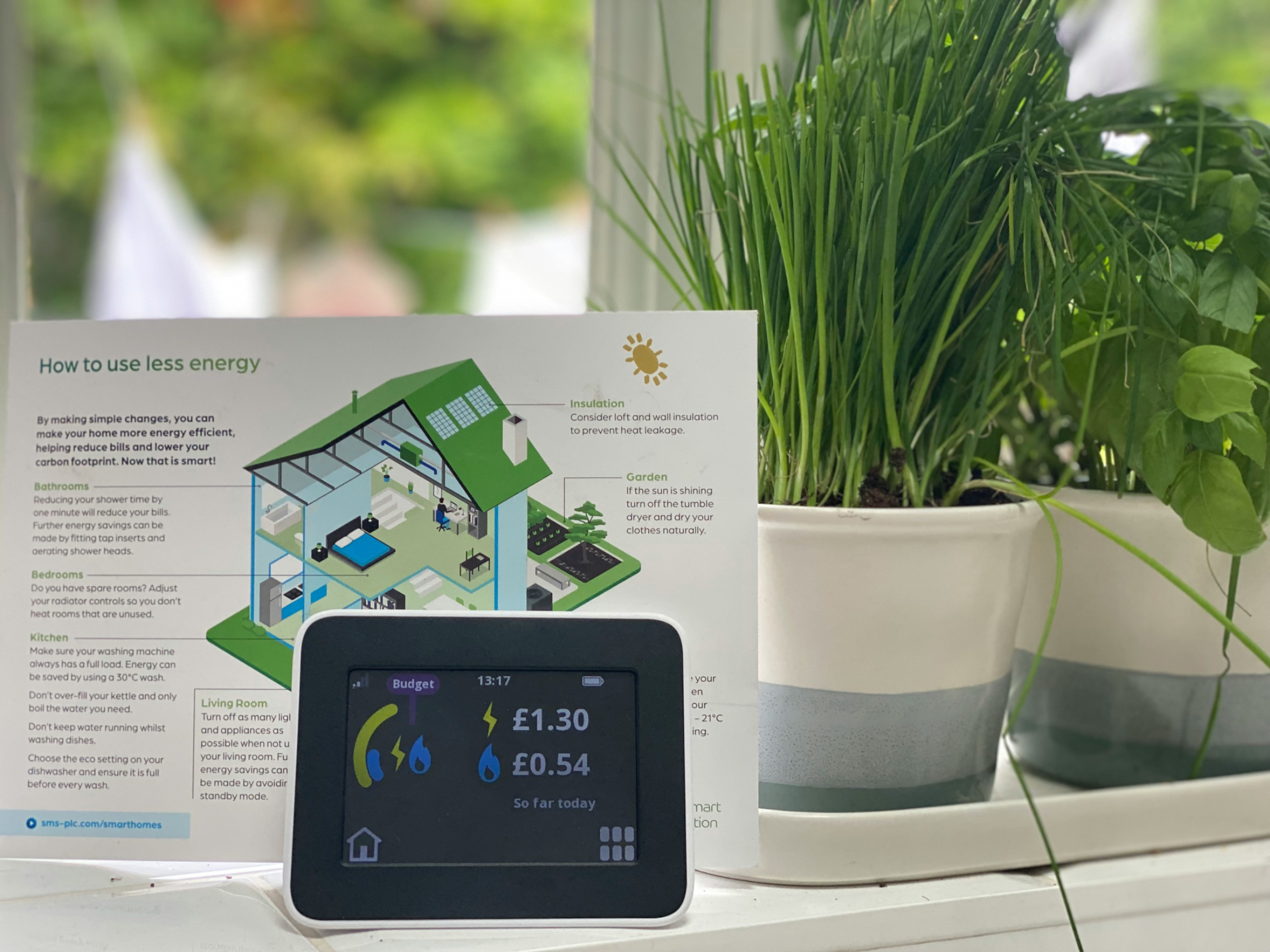 Going green: The benefits (and costs) of buying a green home